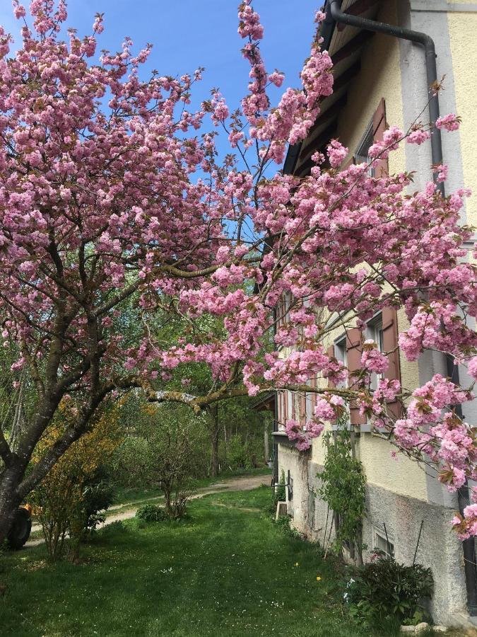 Ferienhof Weber Nieratz Wangen im Allgäu Exterior foto